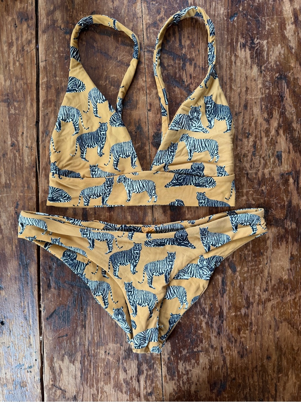 Boys & Arrows Frisky Tiger Bikini Medium 🐈 Like New